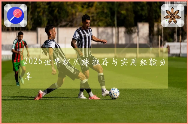 2026世界杯买球推荐与实用经验分享