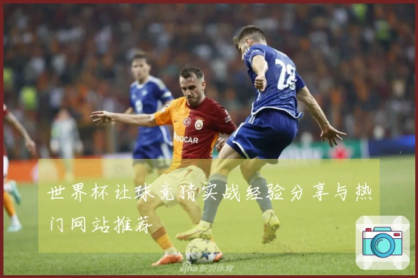 世界杯让球竞猜实战经验分享与热门网站推荐