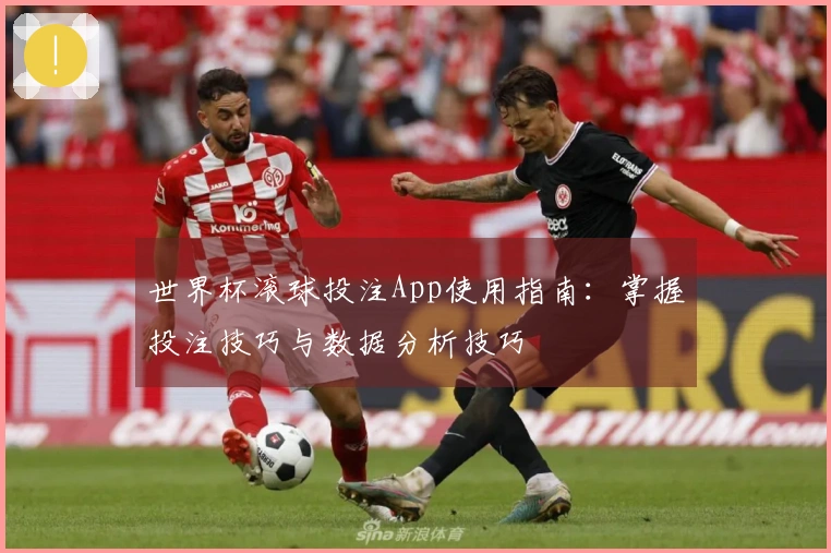 世界杯滚球投注App使用指南：掌握投注技巧与数据分析技巧