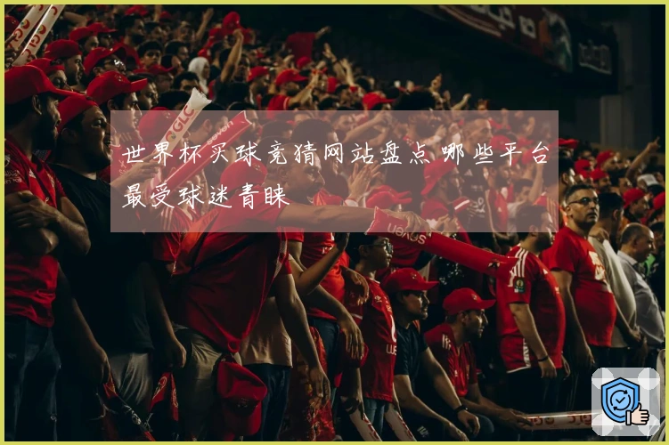 世界杯买球竞猜网站盘点 哪些平台最受球迷青睐