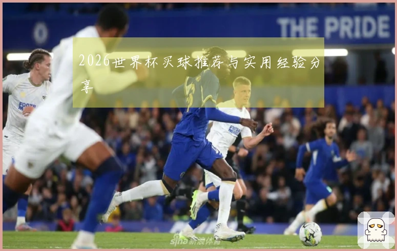 2026世界杯买球推荐与实用经验分享