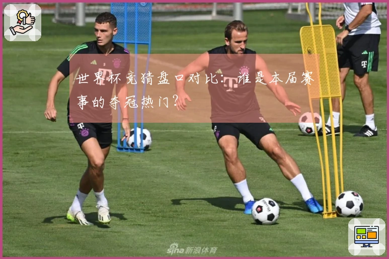 世界杯竞猜盘口对比：谁是本届赛事的夺冠热门？