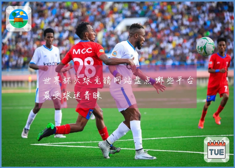 世界杯买球竞猜网站盘点 哪些平台最受球迷青睐