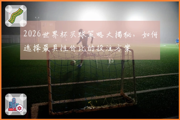 2026世界杯买球策略大揭秘，如何选择最具性价比的投注方案