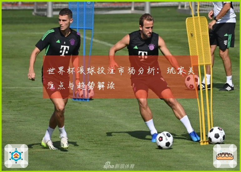 世界杯滚球投注市场分析：玩家关注点与趋势解读