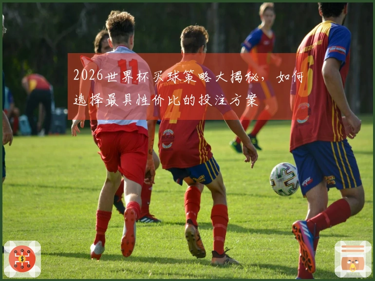 2026世界杯买球策略大揭秘，如何选择最具性价比的投注方案