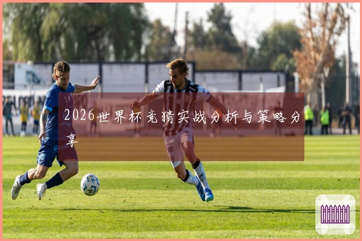 2026世界杯竞猜实战分析与策略分享